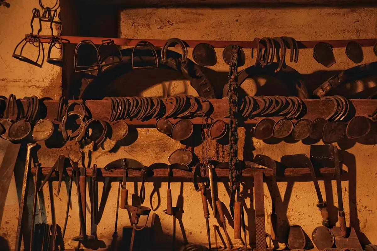 Farm landscape and buildings